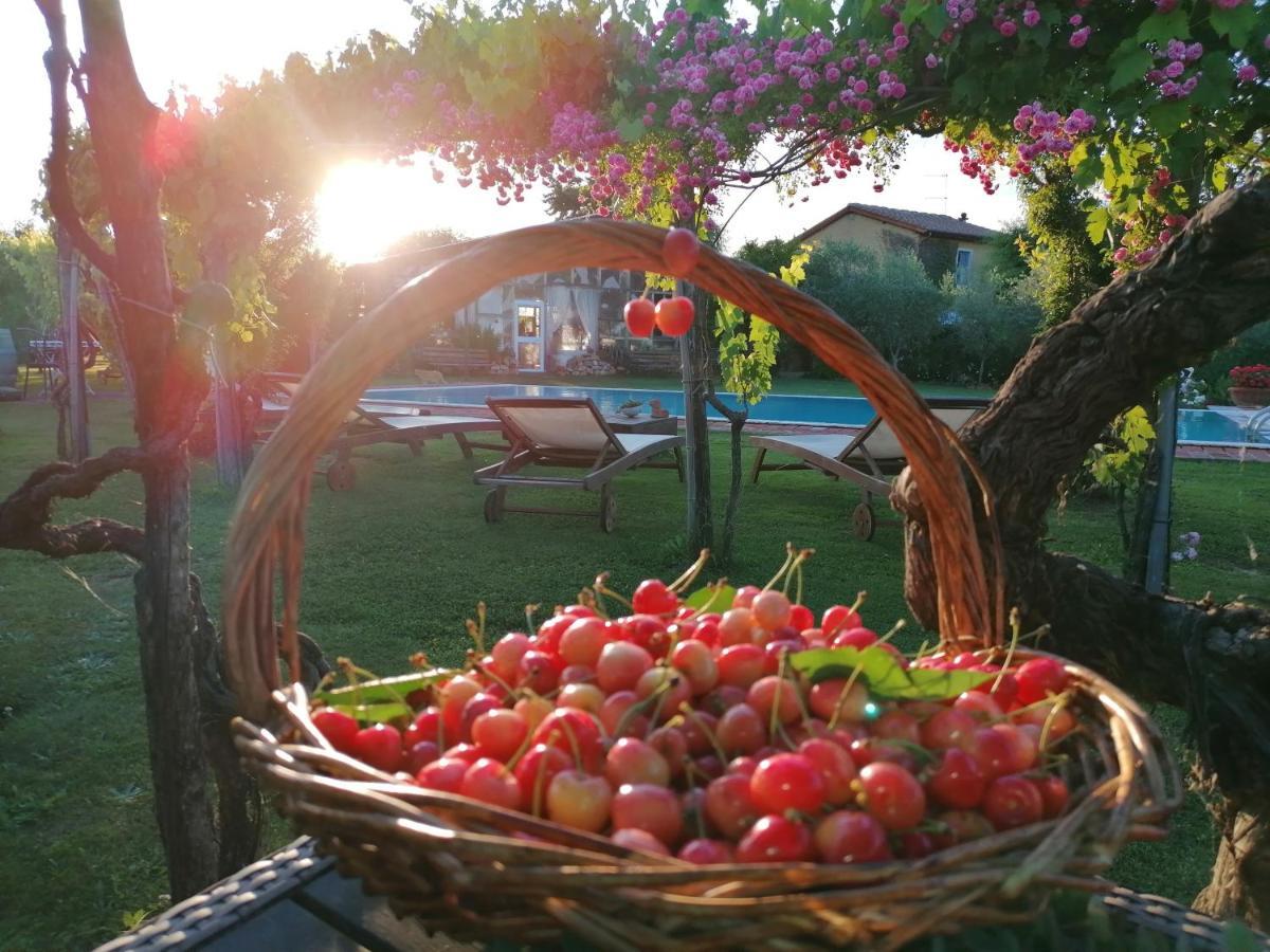 Podere Piandarca Terranuova Bracciolini Exterior foto