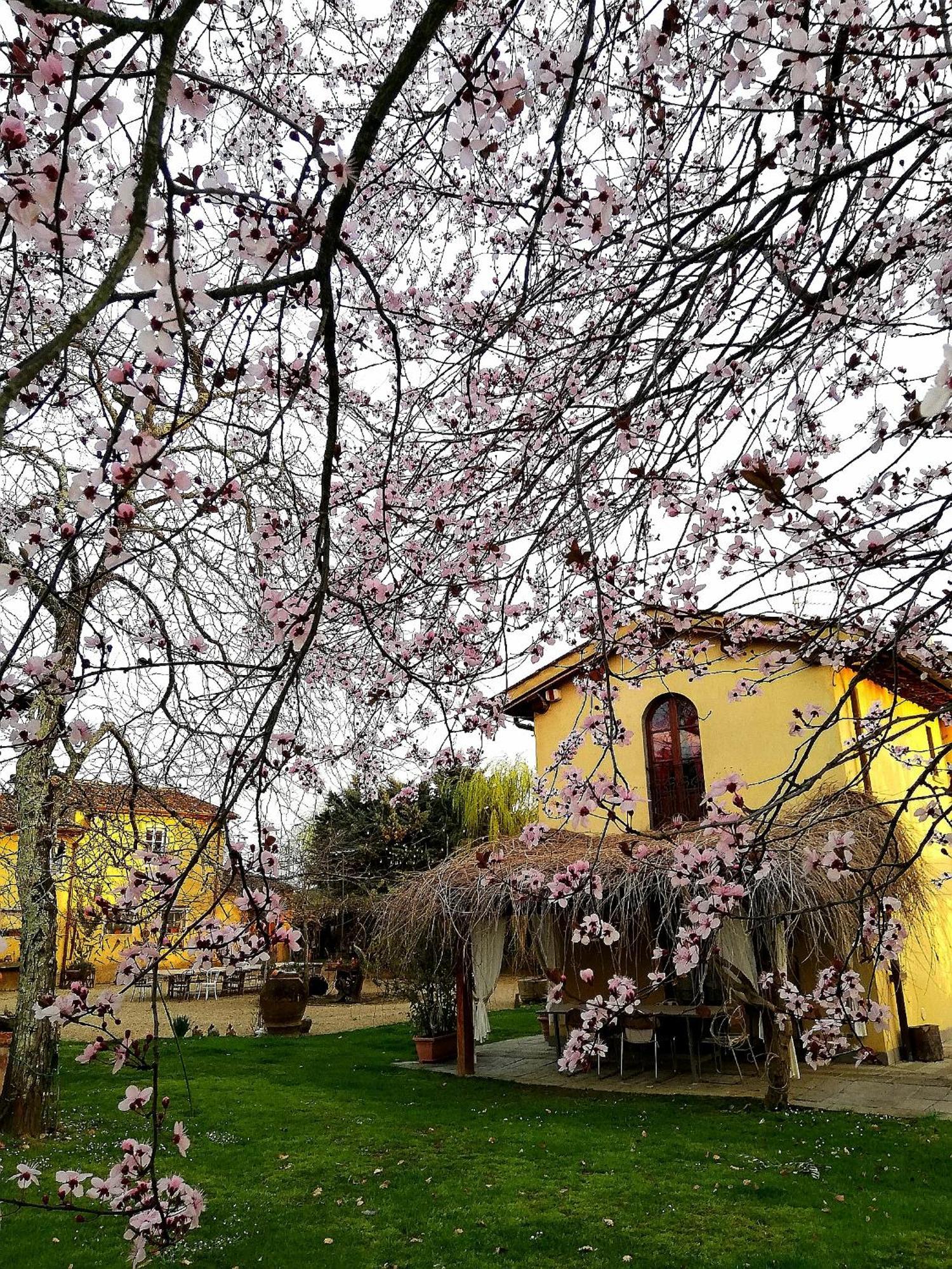 Podere Piandarca Terranuova Bracciolini Exterior foto